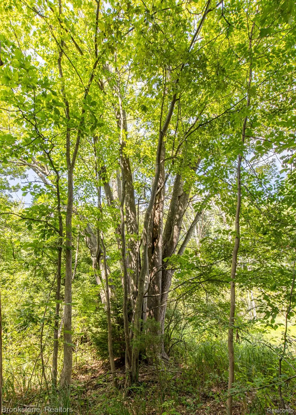Allen Road Independence Charter Township, MI 48348