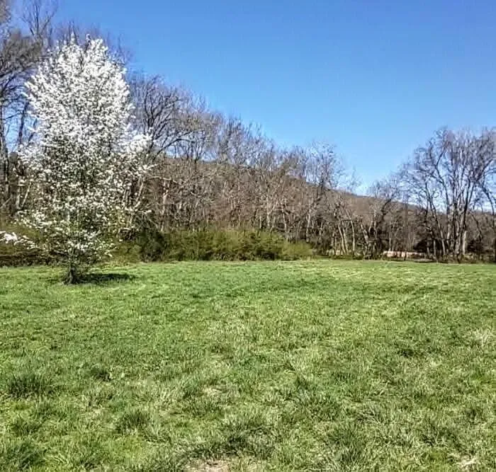 4880 Hills Creek RD Mc Minnville, TN 37110