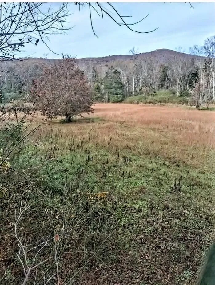 4880 Hills Creek RD Mc Minnville, TN 37110