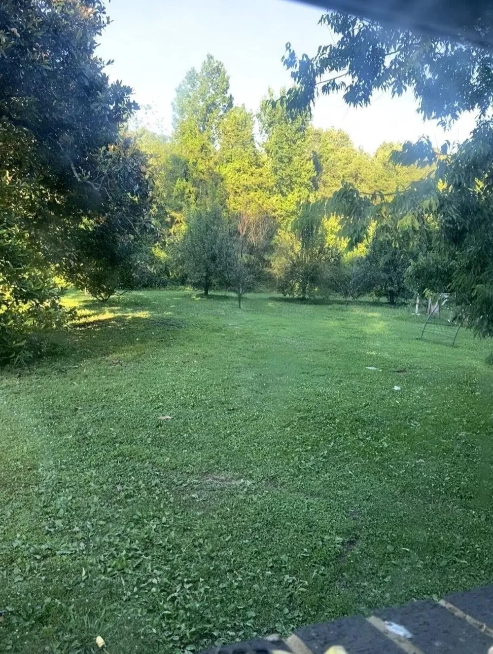 4880 Hills Creek RD Mc Minnville, TN 37110