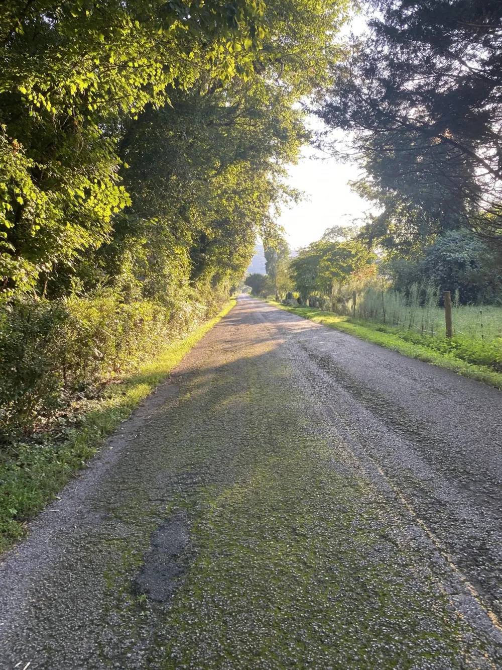 4880 Hills Creek RD Mc Minnville, TN 37110