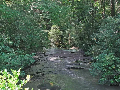 Lot 8 Snowbird Woods Drive