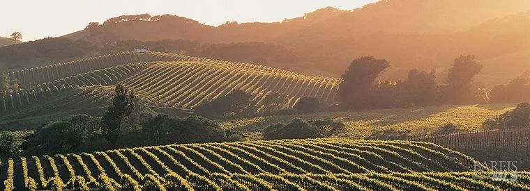 1639 Flanigan Way Petaluma, CA 94954