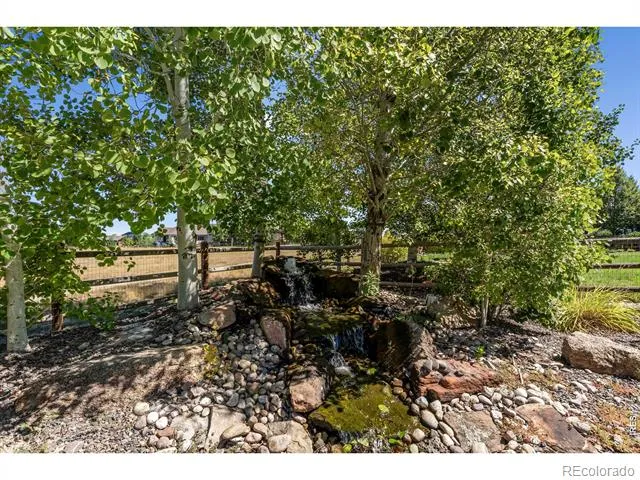 8210 Cherry Blossom Drive Windsor, CO 80550