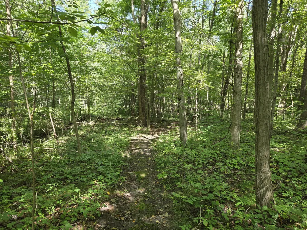 4272 Swan Lake Drive Allegan, MI 49010