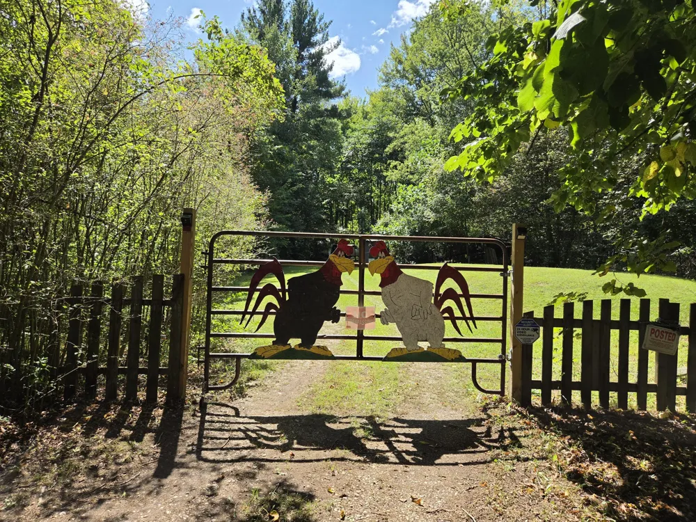 4272 Swan Lake Drive Allegan, MI 49010