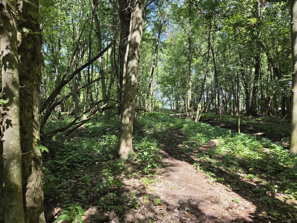 4272 Swan Lake Drive Allegan, MI 49010