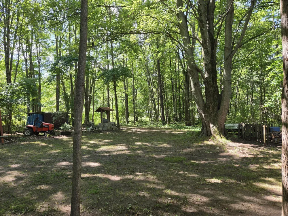 4272 Swan Lake Drive Allegan, MI 49010