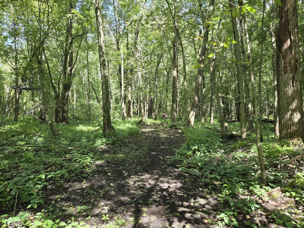 4272 Swan Lake Drive Allegan, MI 49010