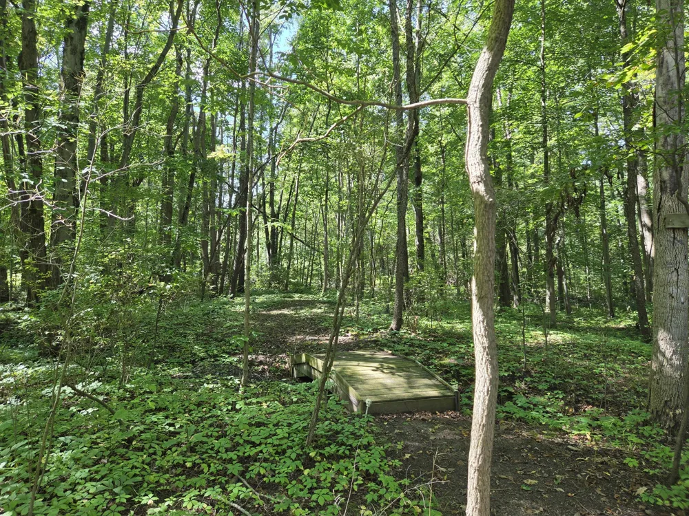 4272 Swan Lake Drive Allegan, MI 49010