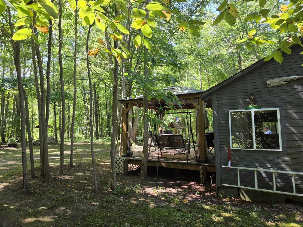 4272 Swan Lake Drive Allegan, MI 49010
