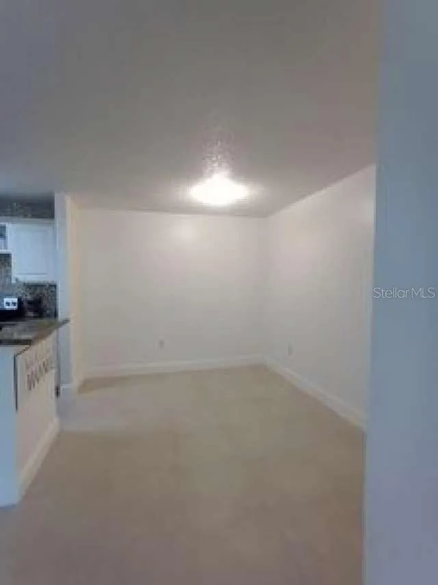10024 STRAFFORD OAK COURT #807 Tampa, FL 33624