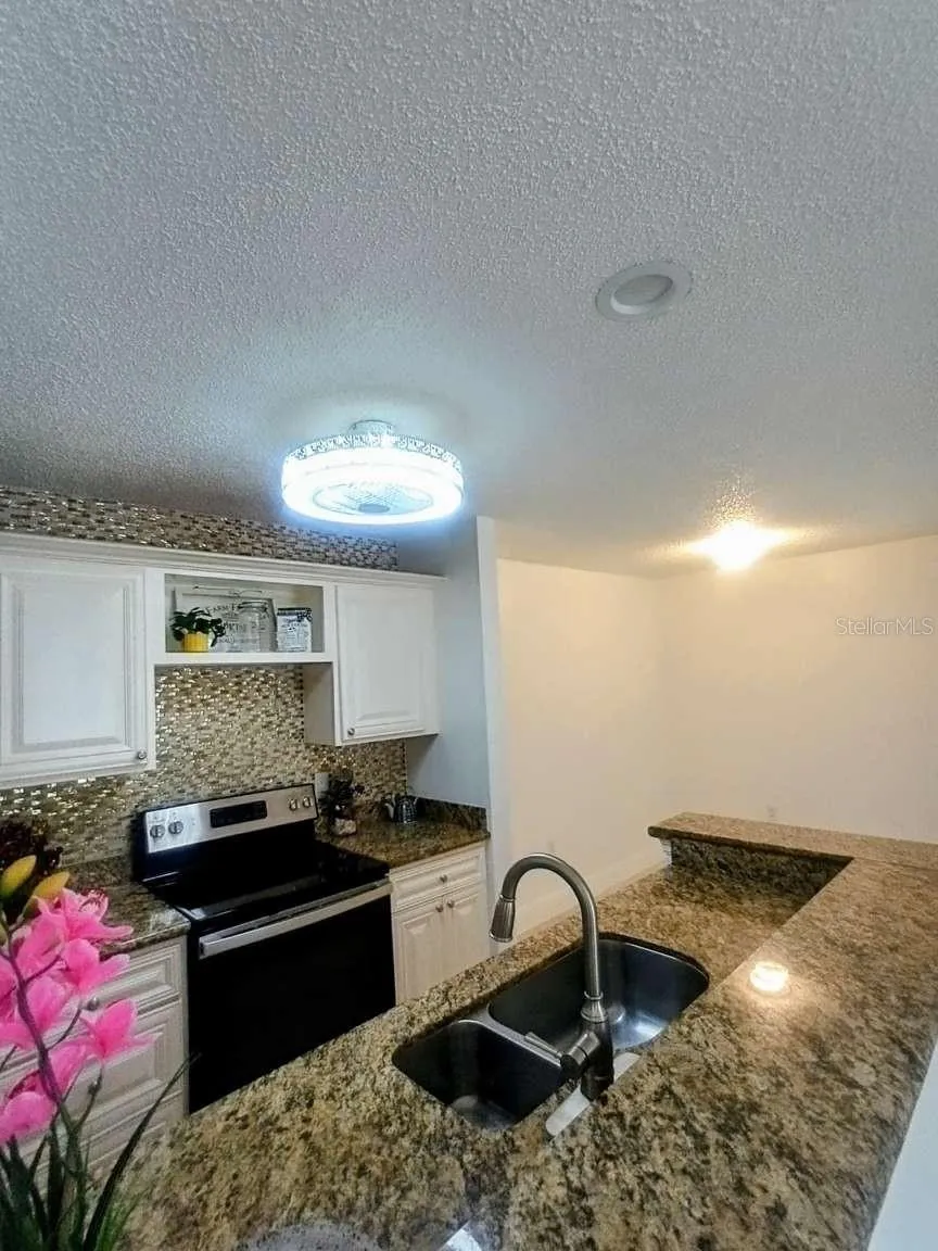 10024 STRAFFORD OAK COURT #807 Tampa, FL 33624