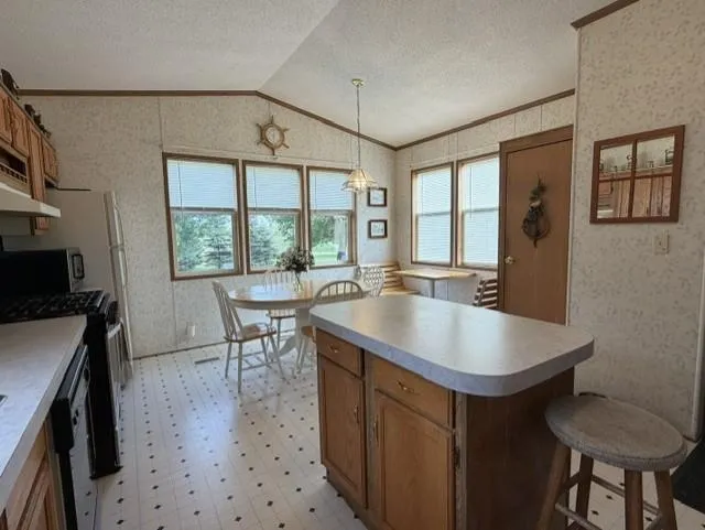 295 Tingdale Street Tamarack, MN 55787