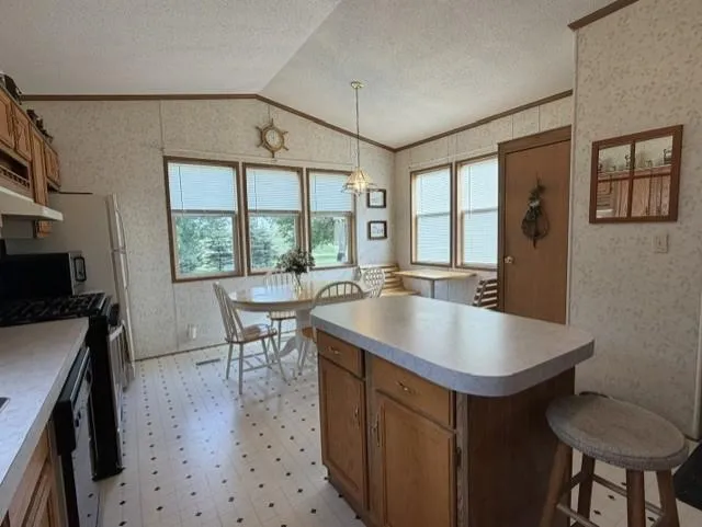 295 Tingdale Street Tamarack, MN 55787