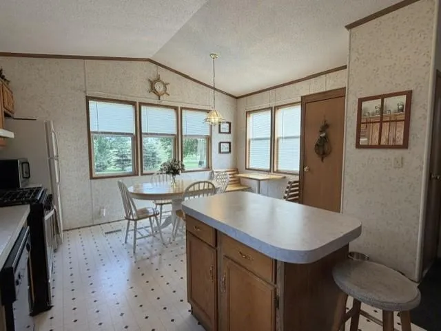 295 Tingdale Street Tamarack, MN 55787