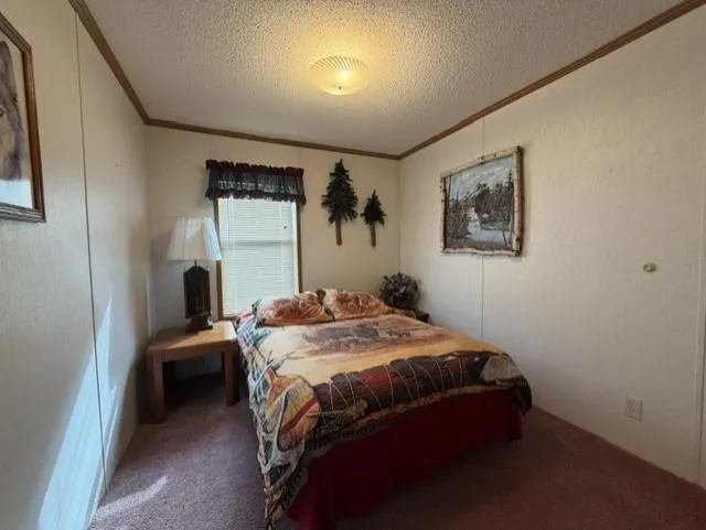 295 Tingdale Street Tamarack, MN 55787