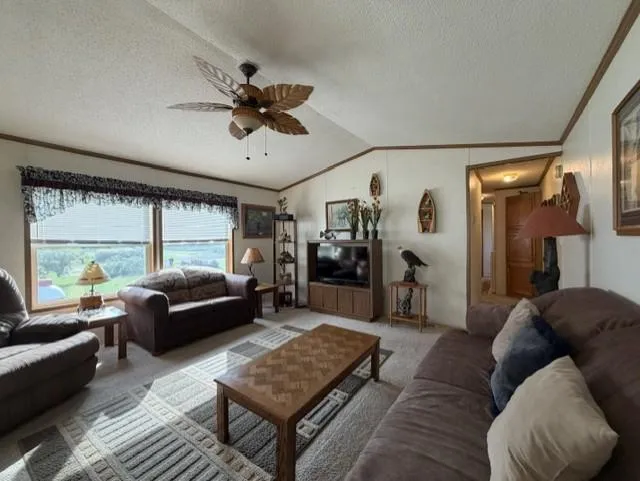 295 Tingdale Street Tamarack, MN 55787