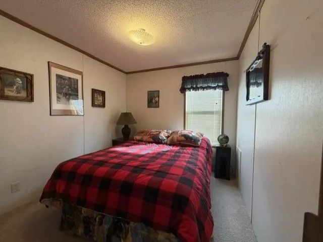 295 Tingdale Street Tamarack, MN 55787