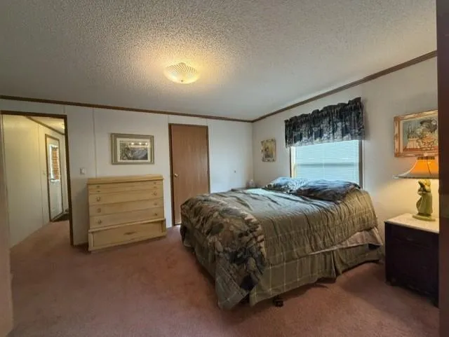295 Tingdale Street Tamarack, MN 55787