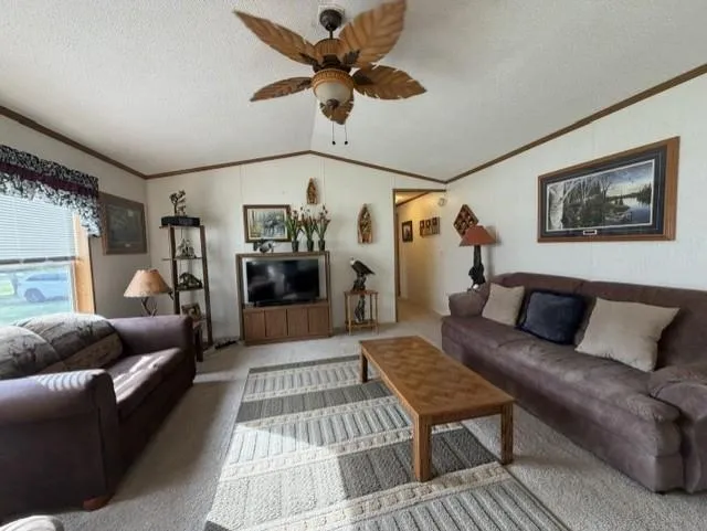 295 Tingdale Street Tamarack, MN 55787