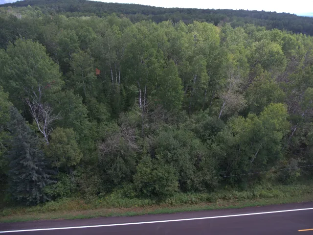 TBD XXX Maxwell Road Duluth, MN 55803