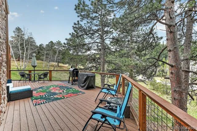 9053 Gray Fox Drive Evergreen, CO 80439
