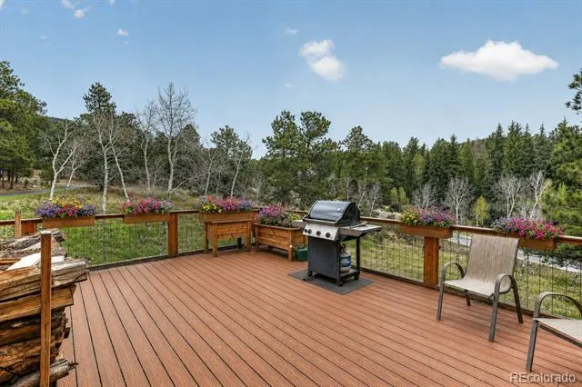 9053 Gray Fox Drive Evergreen, CO 80439