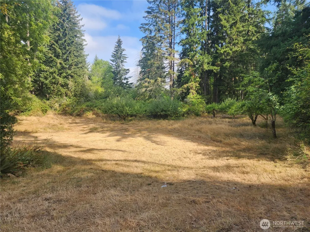 11719 Hobby Street SE Yelm, WA 98597
