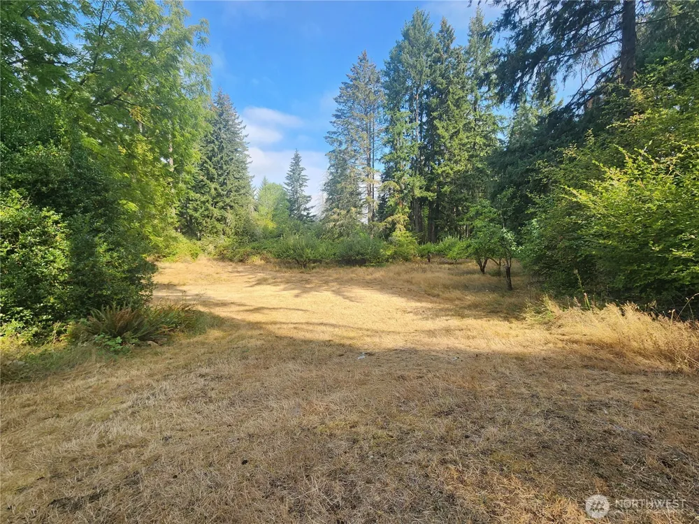 11719 Hobby Street SE Yelm, WA 98597