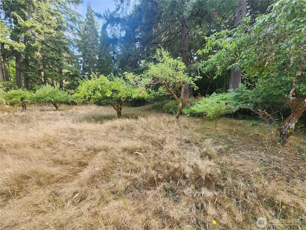 11719 Hobby Street SE Yelm, WA 98597