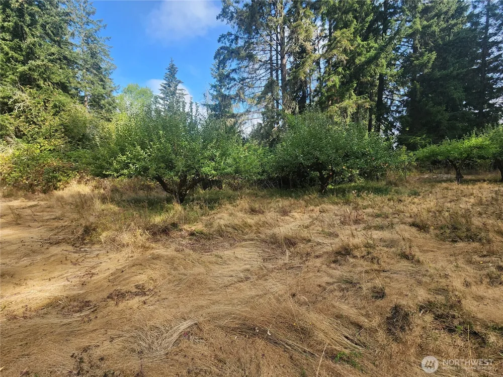 11719 Hobby Street SE Yelm, WA 98597