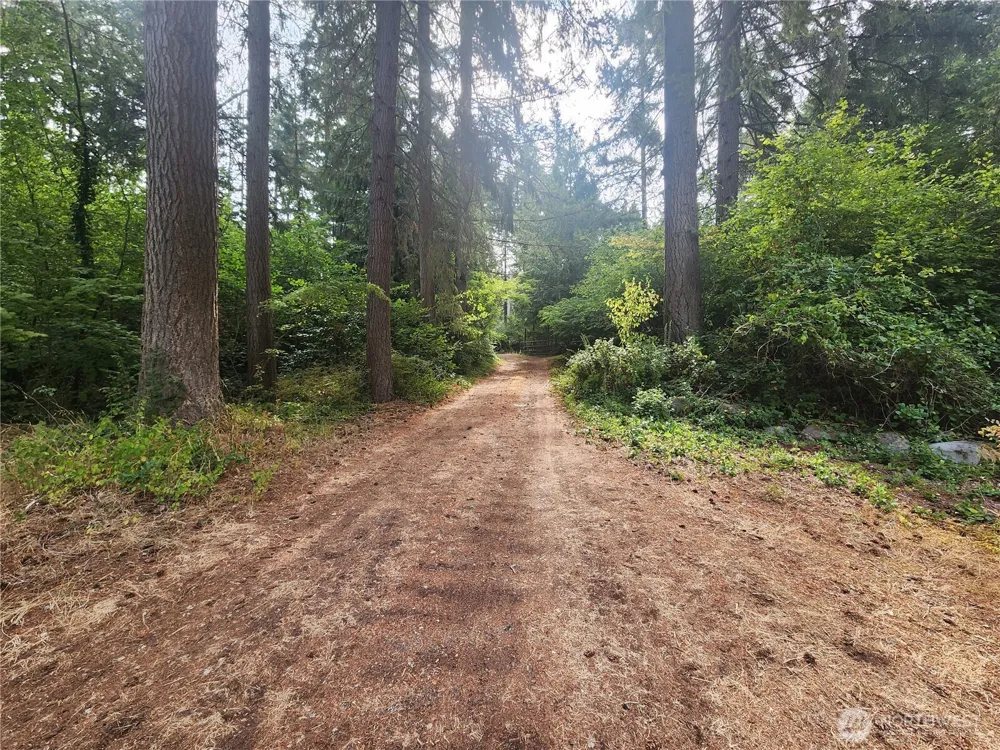 11719 Hobby Street SE Yelm, WA 98597