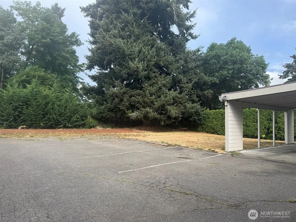 1307 College Street SE Lacey, WA 98503