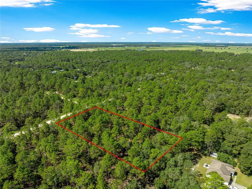 TBD SW 89TH STREET Dunnellon, FL 34432
