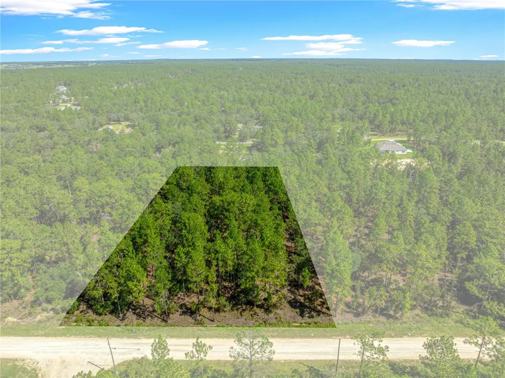 TBD SW 89TH STREET Dunnellon, FL 34432