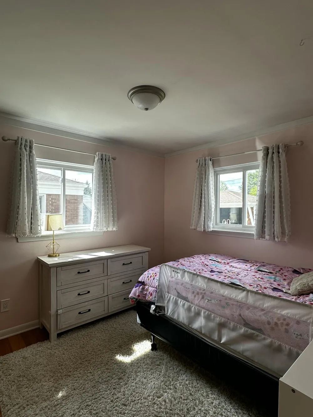 2728 Pinetree Drive Trenton, MI 48183