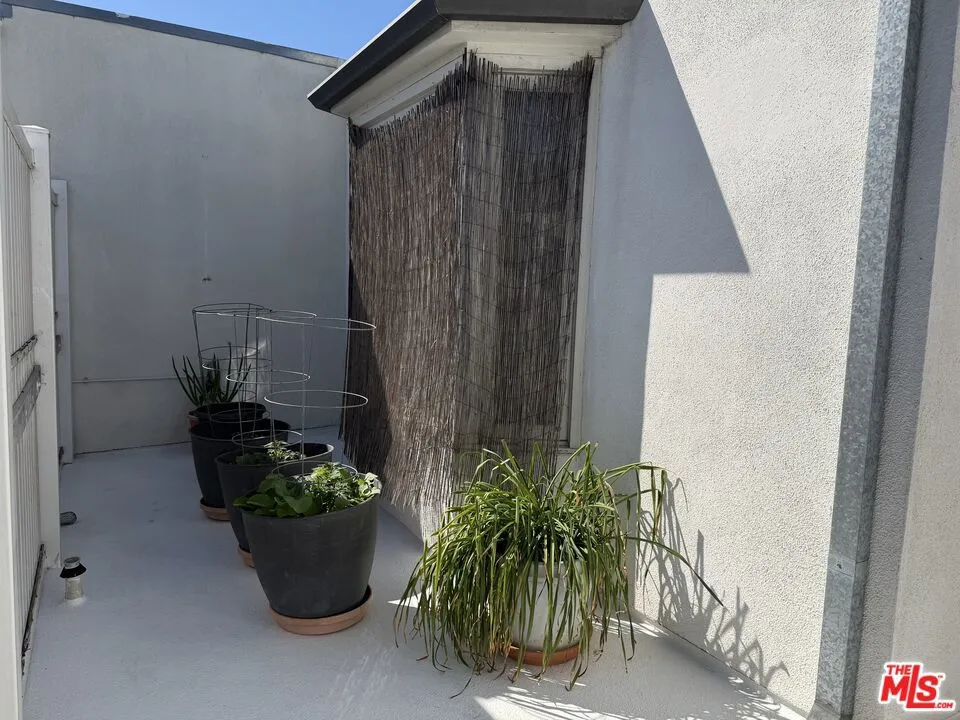 924 5th Street #10 Santa Monica, CA 90403