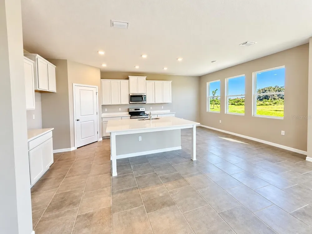 10669 BRIDGEGATE HEIGHTS LOOP San Antonio, FL 33576