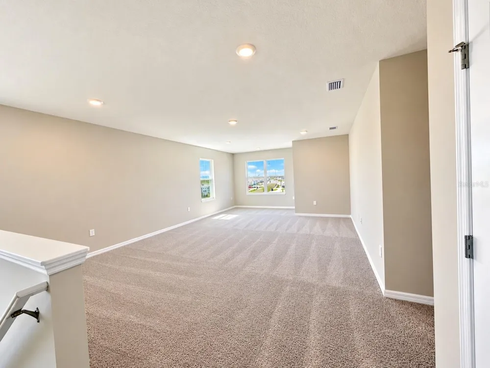 10669 BRIDGEGATE HEIGHTS LOOP San Antonio, FL 33576
