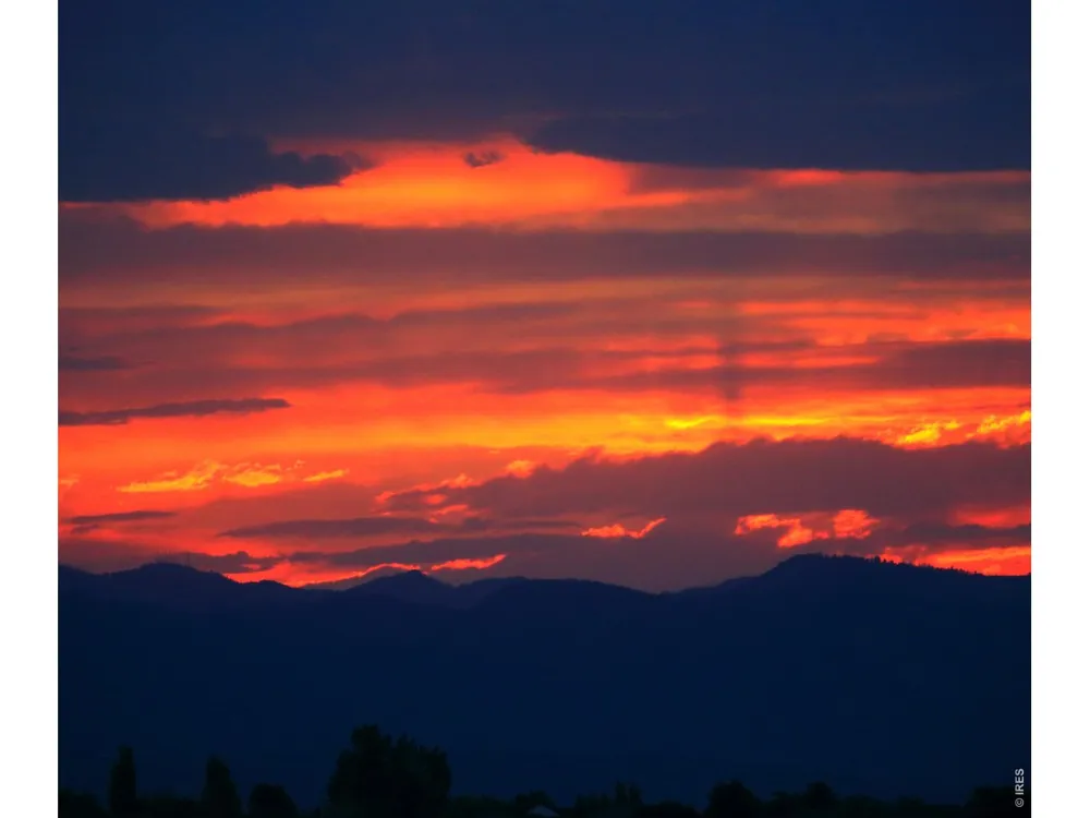 7853 Cherry Blossom Drive Windsor, CO 80550
