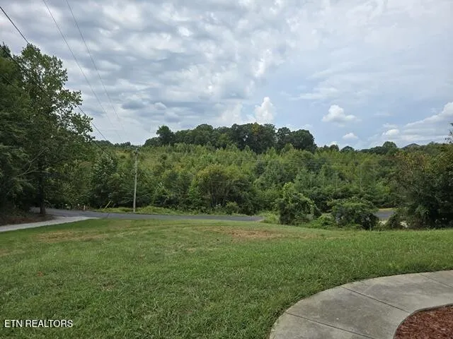 3110 Nevils Way Sevierville, TN 37876