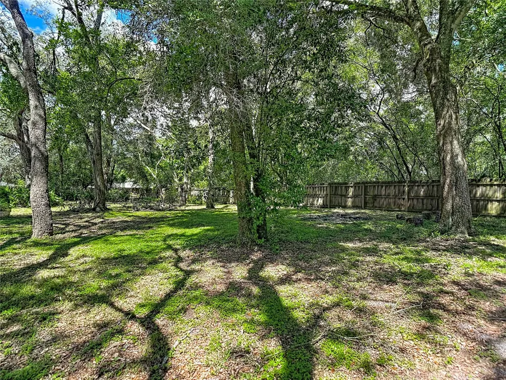 17235 CARLESIMO AVENUE Spring Hill, FL 34610