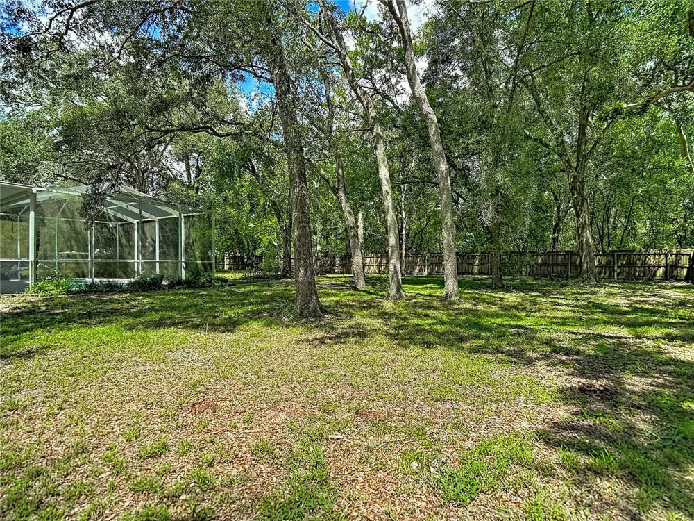 17235 CARLESIMO AVENUE Spring Hill, FL 34610