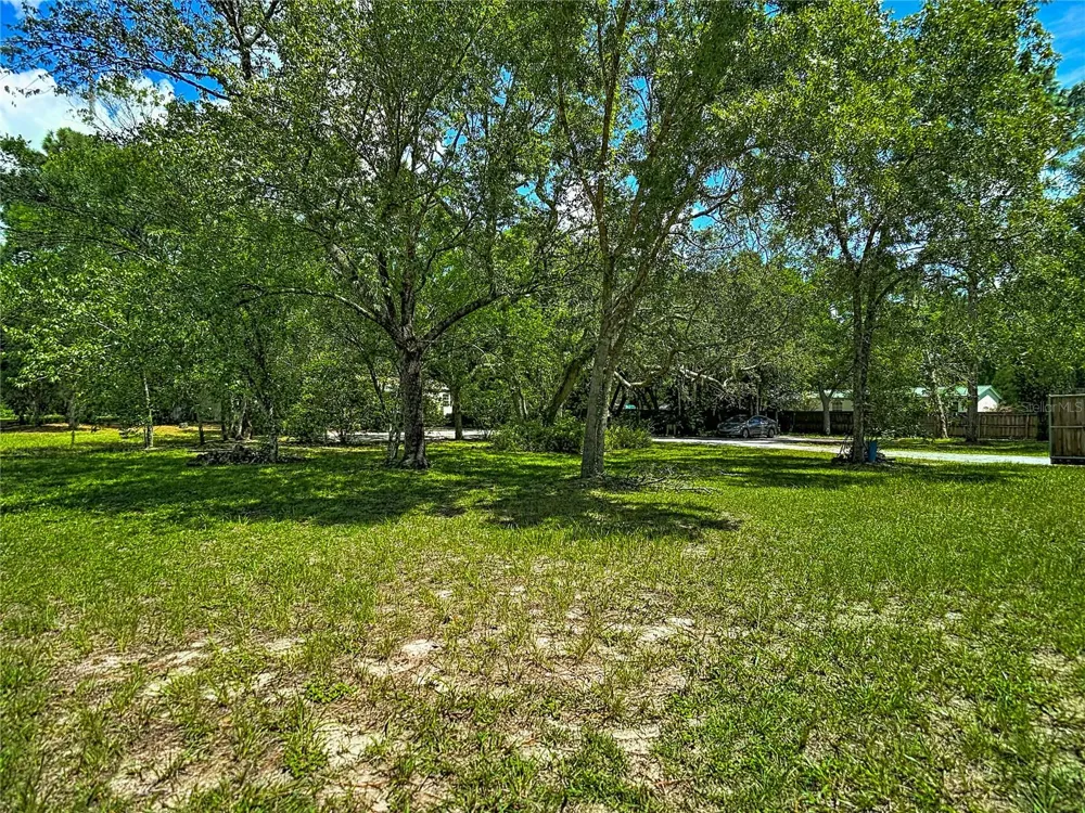 17235 CARLESIMO AVENUE Spring Hill, FL 34610