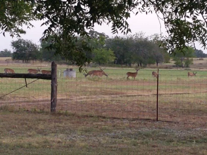 10905 fm1915 Highway Buckholts, TX 76518