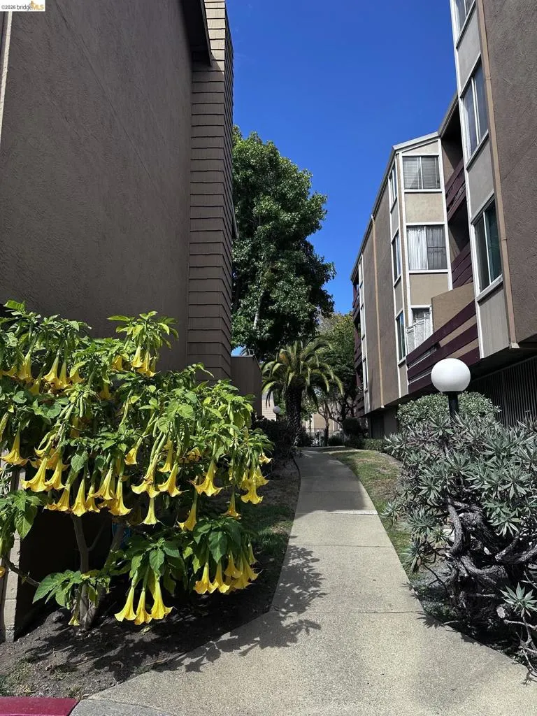 2121 Vale Rd ##50 San Pablo, CA 94806