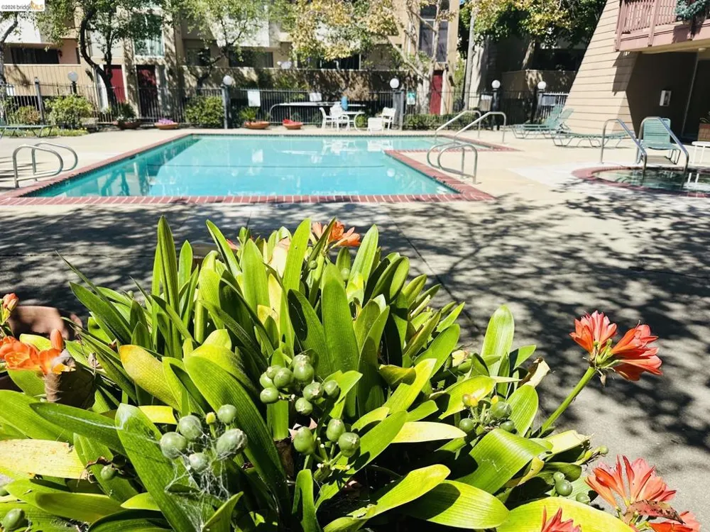 2121 Vale Rd ##50 San Pablo, CA 94806