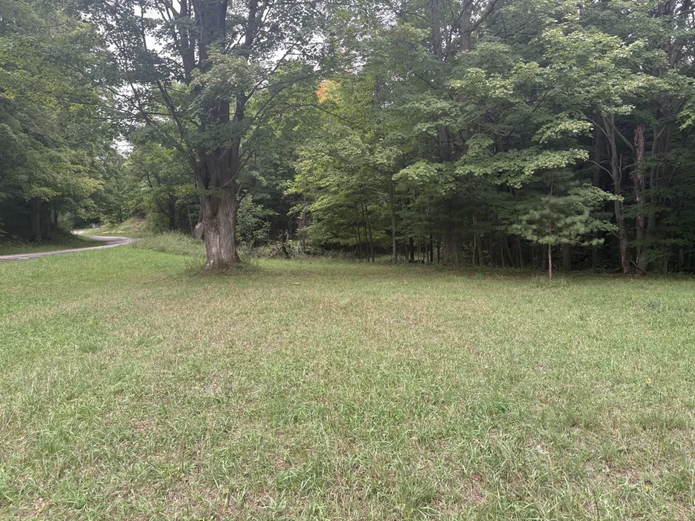 18611 St. Pierre Road Arcadia, MI 49613