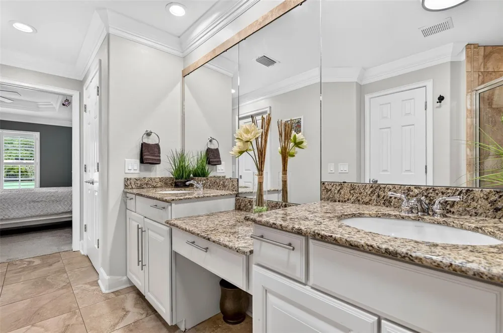 10324 SAVILLE ROWE LANE Tampa, FL 33626